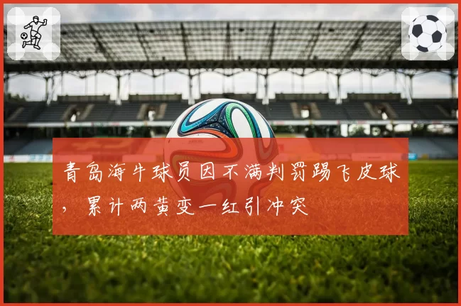 青岛海牛球员因不满判罚踢飞皮球，累计两黄变一红引冲突